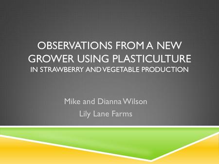 OBSERVATIONS FROM A NEW GROWER USING PLASTICULTURE IN STRAWBERRY AND VEGETABLE PRODUCTION Mike and Dianna Wilson Lily Lane Farms.