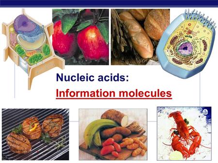 Regents Biology 2006-2007 Nucleic acids: Information molecules.
