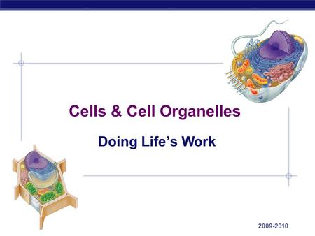 AP Biology 2009-2010 Cells & Cell Organelles Doing Life’s Work.