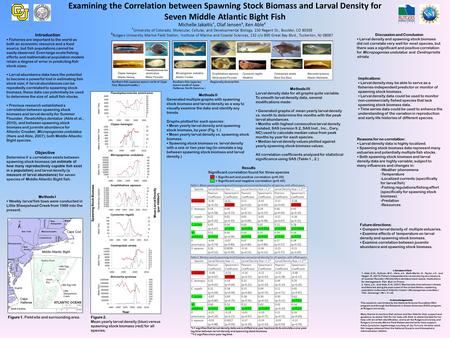 Methods I  Weekly larval fish tows were conducted in Little Sheepshead Creek from 1989 into the present. Examining the Correlation between Spawning Stock.