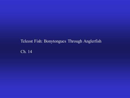 Teleost Fish: Bonytongues Through Anglerfish Ch. 14.