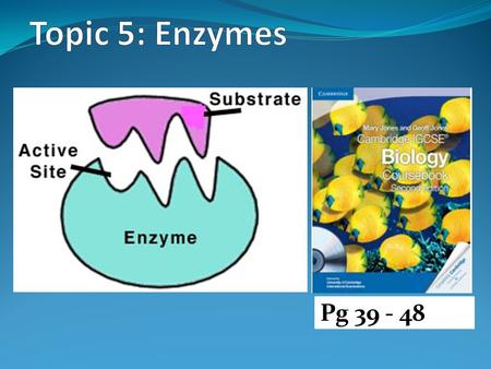 Topic 5: Enzymes Pg 39 - 48.