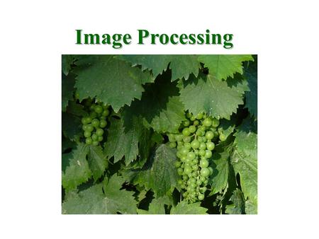 Image Processing. Digital Image Processing, 2nd ed. www.imageprocessingbook.com © 2002 R. C. Gonzalez & R. E. Woods Chapter 1 Introduction Chapter 1 Introduction.