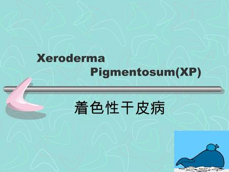 Xeroderma Pigmentosum(XP) 着色性干皮病. We owe our lives to light from the sun,which provides the energy captured during photosynthesis ( 光合作用 ). But the sun.