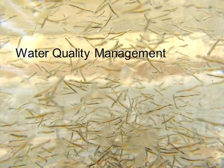 Water Quality Management. Water Filtration (Mechanical)