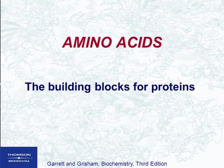 The building blocks for proteins
