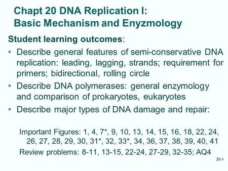 Chapt 20 DNA Replication I: Basic Mechanism and Enyzmology Student learning outcomes: Describe general features of semi-conservative DNA replication: leading,