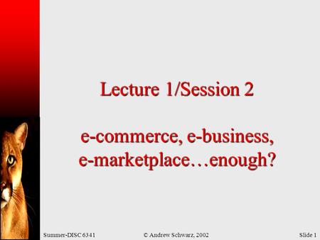 Summer-DISC 6341© Andrew Schwarz, 2002Slide 1 Lecture 1/Session 2 e-commerce, e-business, e-marketplace…enough?