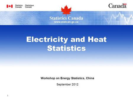 Workshop on Energy Statistics, China September 2012 Electricity and Heat Statistics 1.