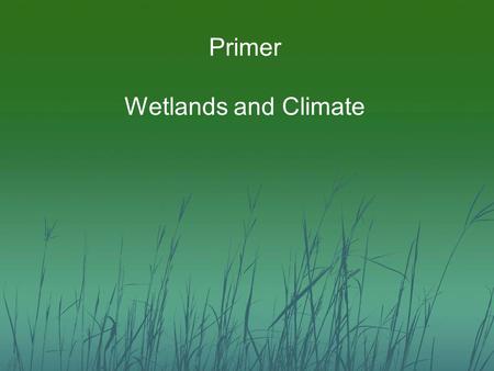 Primer Wetlands and Climate. Wetland Degradation and Loss Artificial drainage of wetlands and hydric soils Mechanical disturbance from agriculture Altered.