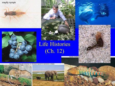 Life Histories (Ch. 12).