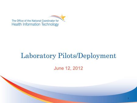 Laboratory Pilots/Deployment June 12, 2012 1. Participants Coordination of Effort Validation Suite Vocabulary Group Implementation Guide Analysis Support.