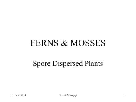 18 Sept. 2014Ferns&Moss.ppt1 FERNS & MOSSES Spore Dispersed Plants.