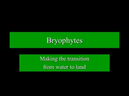 Bryophytes Making the transition from water to land.
