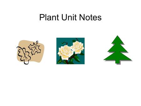 Plant Unit Notes.