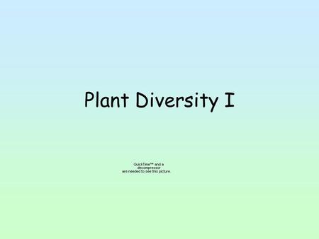 Plant Diversity I.