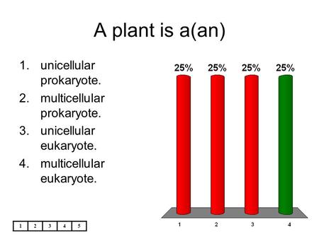 A plant is a(an) unicellular prokaryote. multicellular prokaryote.