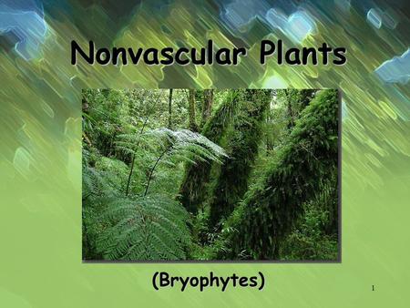 Nonvascular Plants (Bryophytes).