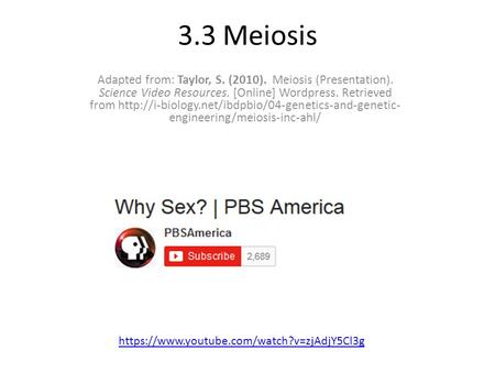 3.3 Meiosis Adapted from: Taylor, S. (2010). Meiosis (Presentation). Science Video Resources. [Online] Wordpress. Retrieved from