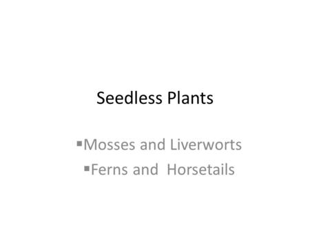 Seedless Plants  Mosses and Liverworts  Ferns and Horsetails.