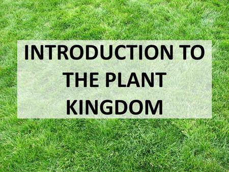 INTRODUCTION TO THE PLANT KINGDOM