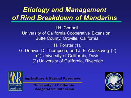 Etiology and Management of Rind Breakdown of Mandarins J.H. Connell, University of California Cooperative Extension, Butte County, Oroville, California.