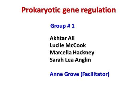 Prokaryotic gene regulation Group # 1 Akhtar Ali Lucile McCook Marcella Hackney Sarah Lea Anglin Anne Grove (Facilitator)