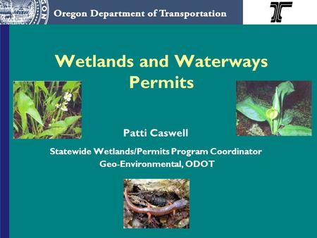 Wetlands and Waterways Permits Patti Caswell Statewide Wetlands/Permits Program Coordinator Geo-Environmental, ODOT.