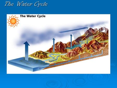 The Water Cycle. THE SUN DRIVES THE WATER CYCLE.