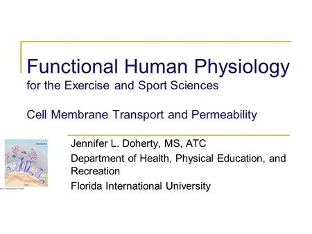 Functional Human Physiology for the Exercise and Sport Sciences Cell Membrane Transport and Permeability Jennifer L. Doherty, MS, ATC Department of Health,
