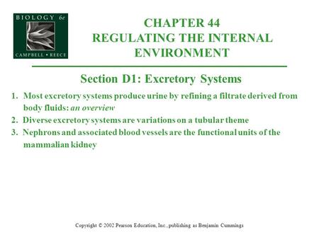 CHAPTER 44 REGULATING THE INTERNAL ENVIRONMENT Copyright © 2002 Pearson Education, Inc., publishing as Benjamin Cummings Section D1: Excretory Systems.