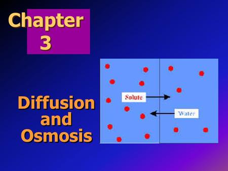 Chapter 3 Diffusion and Osmosis.