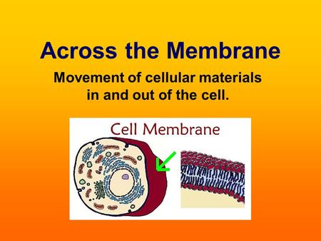 Across the Membrane Movement of cellular materials in and out of the cell.