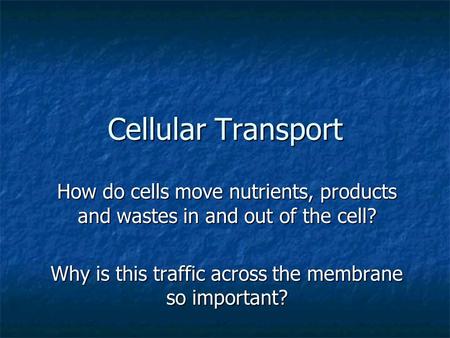 Why is this traffic across the membrane so important?