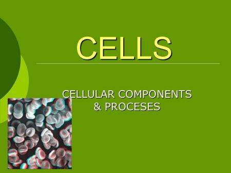 CELLULAR COMPONENTS & PROCESES