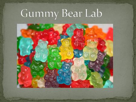 Gummy Bear Lab.