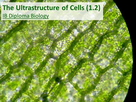The Ultrastructure of Cells (1.2)