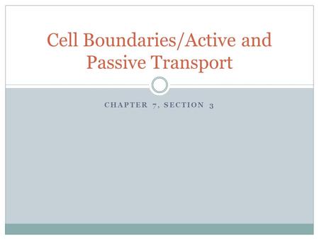 Cell Boundaries/Active and Passive Transport