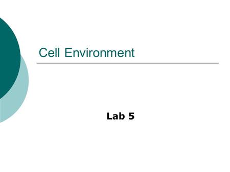 Cell Environment Lab 5.