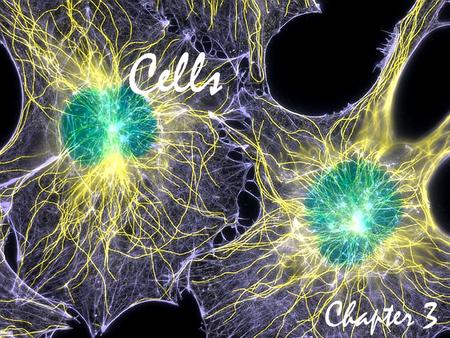 Cells Chapter 3. Cellular Basis of Life Structural units of all living things Human adult has around 75 trillion cells Cells are 60% water, and bathed.