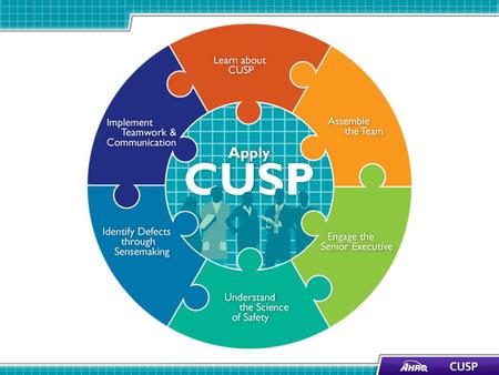 Learning Objectives Review key steps of the CUSP Toolkit