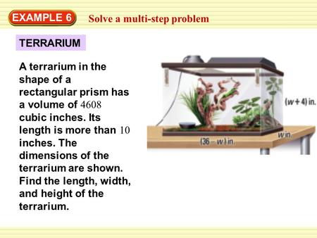 EXAMPLE 6 Solve a multi-step problem TERRARIUM