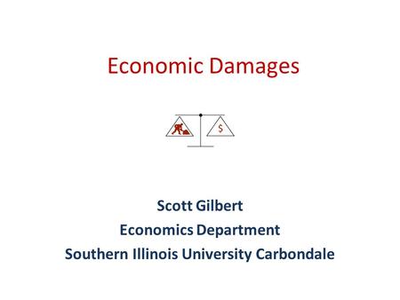 Economic Damages Scott Gilbert Economics Department Southern Illinois University Carbondale.