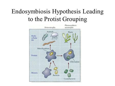 Endosymbiosis Hypothesis Leading to the Protist Grouping.