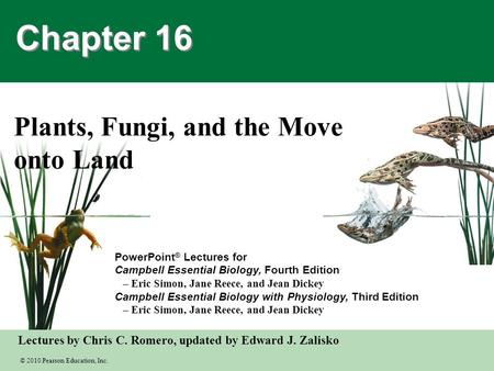 Plants, Fungi, and the Move onto Land