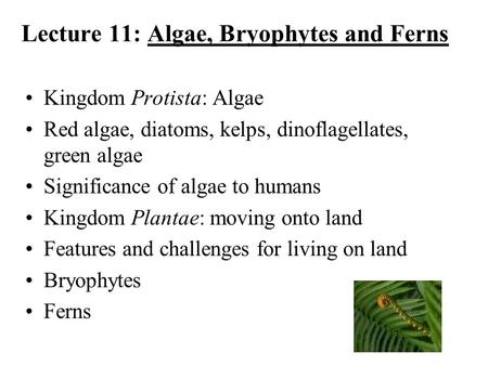 Lecture 11: Algae, Bryophytes and Ferns