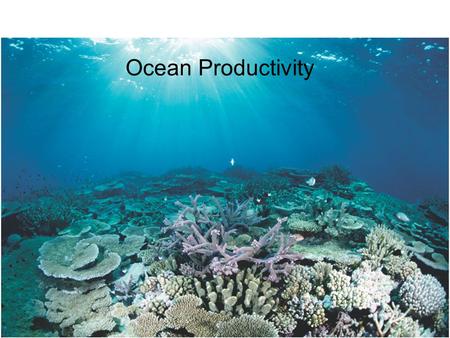 Ocean Productivity.