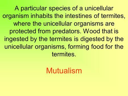 A particular species of a unicellular organism inhabits the intestines of termites, where the unicellular organisms are protected from predators. Wood.