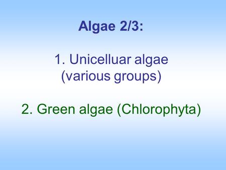 Algae 2/3: 1. Unicelluar algae (various groups) 2
