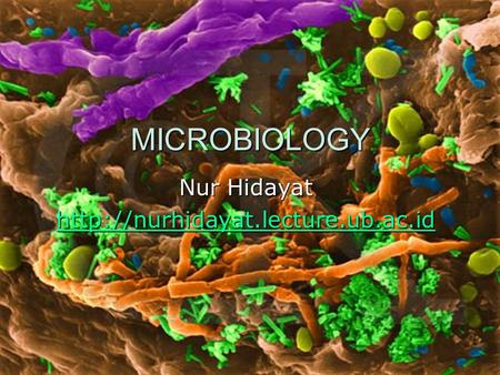 MICROBIOLOGY Nur Hidayat
